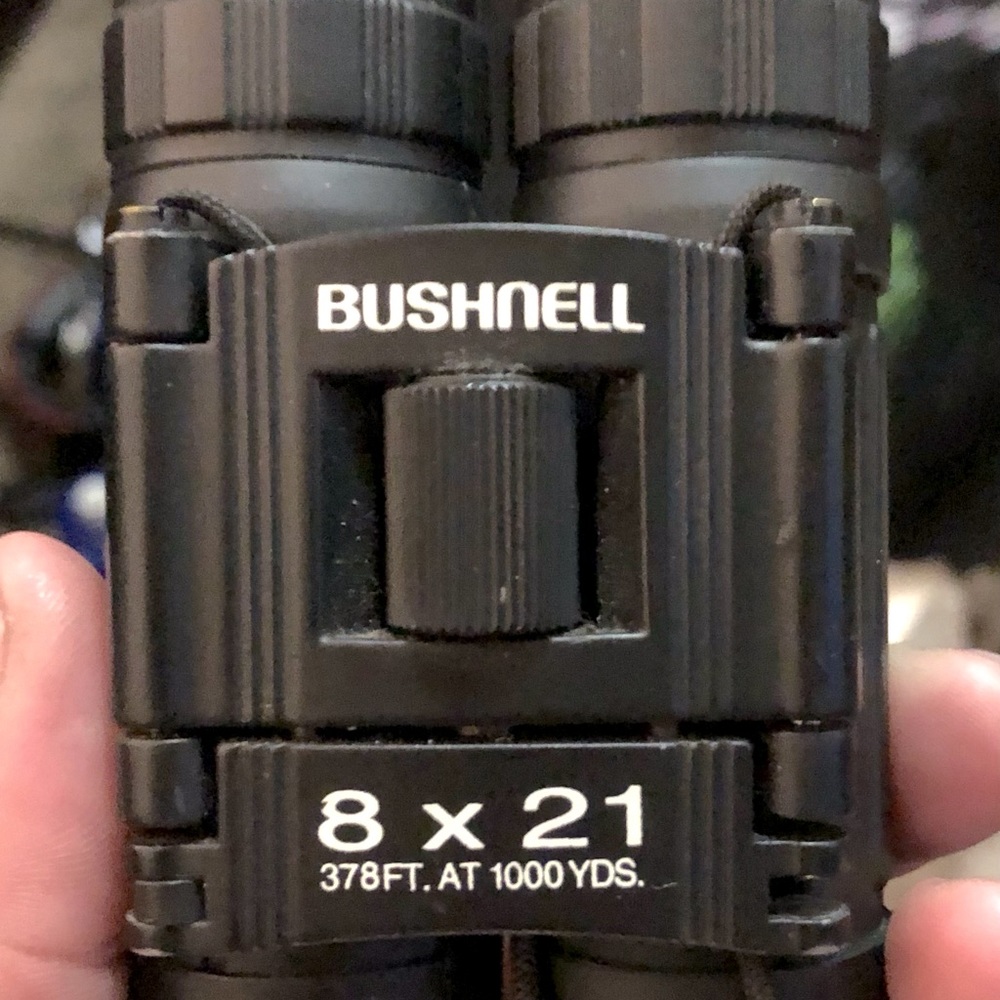 Bushnell binoculars